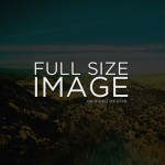fullsize